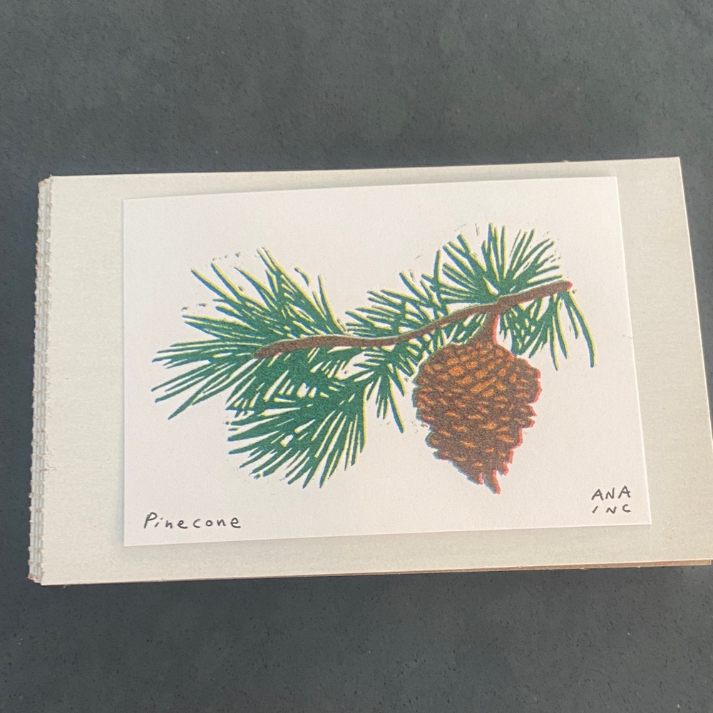 Anastasia INCIARDI - Mini Print - Pinecone